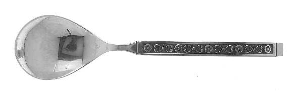 Hacienda (Stainless) Sugar Spoon