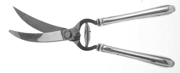 Hamilton (Sterling, 1909) Poultry Shears with Stainless Blades