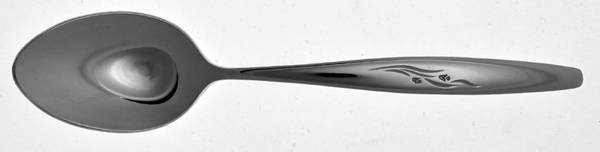 Jonquil (Stainless) Teaspoon