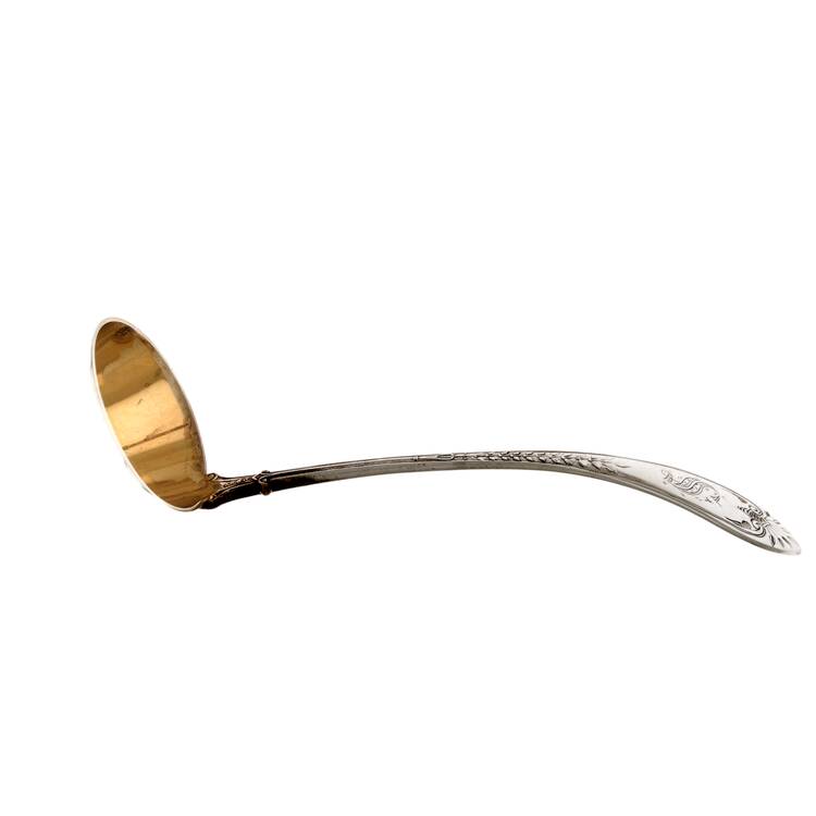 Palm (Sterling, 1870) Ladle-Cream/Devonshire-Long