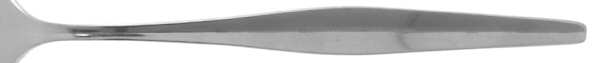 Regatta (Stainless) by Gorham Silver
