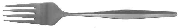Regatta (Stainless) Individual Salad Fork