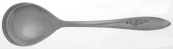 Roselle (Stainless) Sugar Spoon