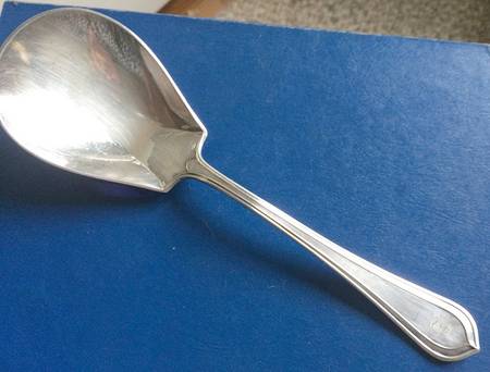 Roslyn (Silverplate, 1915) Preserve Spoon