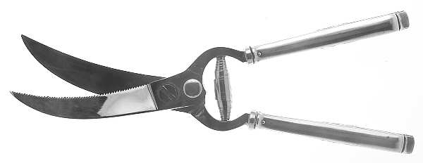 Shelburne (Silverplate, 1914) Poultry Shears with Stainless Blades