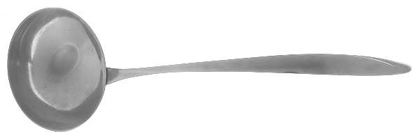Spiral (Stainless) Solid Gravy Ladle