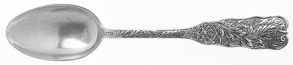St. Cloud (Sterling, 1885) Teaspoon