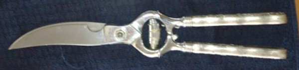 St. Cloud (Sterling, 1885) Poultry Shears with Stainless Blades