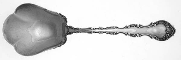 Strasbourg (Sterling, Lion-Anchor-G, 1897) Solid Salad Serving Spoon
