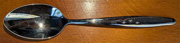 Star Spray (Stainless) by Gorham Silver