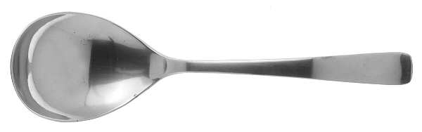 Verve (Stainless) Sugar Spoon