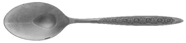Vivero (Stainless) Tablespoon (Serving Spoon)