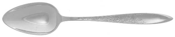 White Paisley (Sterling, 1966) Teaspoon