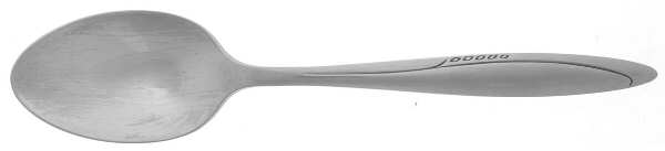 Zest (Stainless) Teaspoon