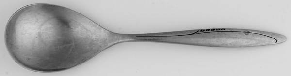 Zest (Stainless) Sugar Spoon