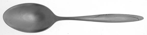 Zest (Stainless) Tablespoon (Serving Spoon)