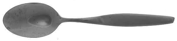 Anita (Stainless) Teaspoon by Gustav