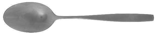 Birgit (Stainless) Solid Salad Serving Spoon