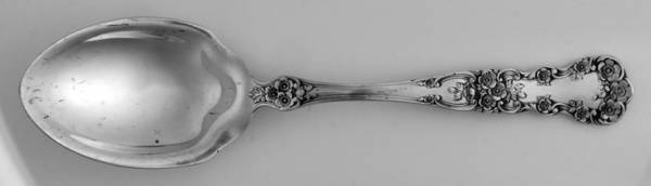 Buttercup (Sterling, "Gorham") Sugar Spoon