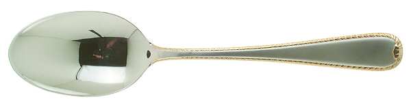 Golden Ribbon Edge Frosted Tablespoon (Serving Spoon)