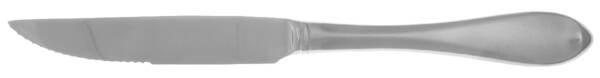 Studio Frosted (Stainless) Steak Knife Individual Hollow, Serrate HC