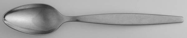 Focus-Glossy (Stainless) Teaspoon