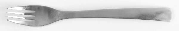 Park-Carry On (Matte, Stainless) Fork