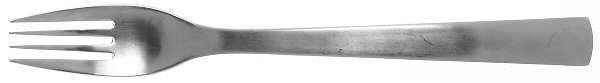 Park-Carry On (Matte, Stainless) Individual Salad Fork