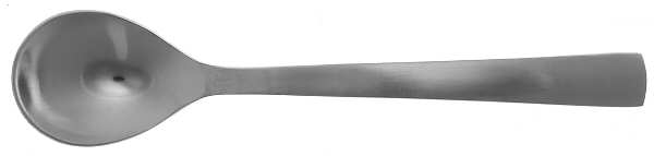 Park-Carry On (Matte, Stainless) Sugar Spoon