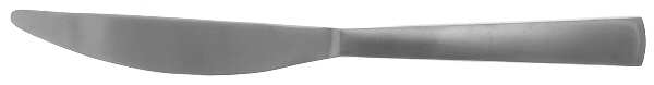 Park-Carry On (Matte, Stainless) Modern Solid Knife