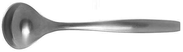 Loft-Satin (Stainless) Sugar Spoon