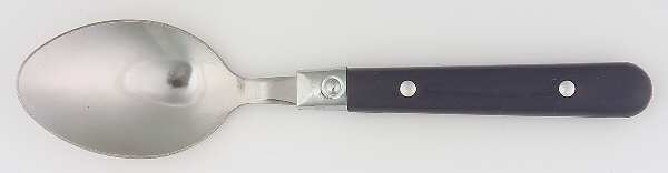 Casual Living-Cobalt (Stainless, Plastic) Place/Oval Soup Spoon