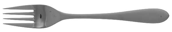Meridian (Stainless, Frost-Glossy) Individual Salad Fork