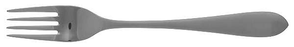 Meridian (Stainless, Frost-Glossy) European Salad Fork