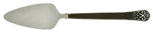Avalon Barcelona (Stainless) Cheese Server with Stainless Blade HC