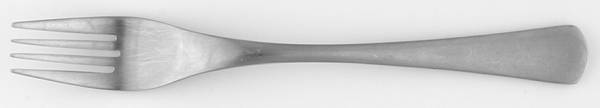 Orrington (Stainless) Individual Salad Fork