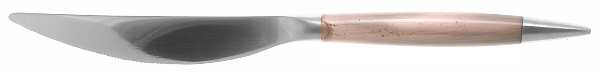 Ryder (Stainless) Modern Solid Knife