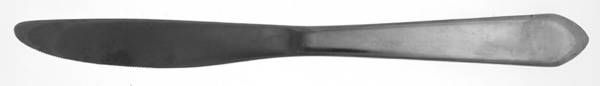 Westbury (Stainless) Modern Solid Knife