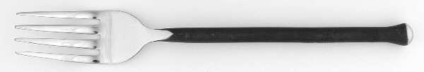 Montana (Stainless) Individual Salad Fork