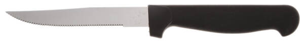 Palmore (Stainless) Individual Steak Knife Hollow Handle