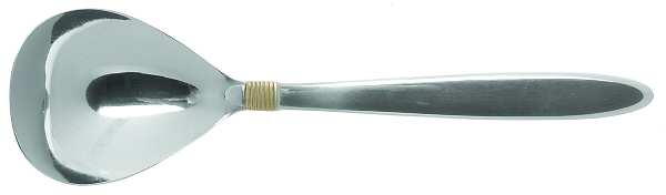 Narragansett Gold (Stnls, No Wings) Sugar Spoon