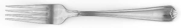 GS96 (Stainless) Fork