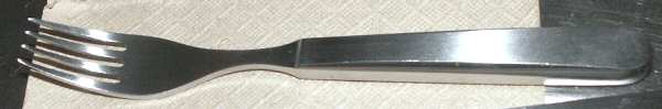 GDQ1 (Stainless) Fork