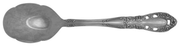 Angelica (Stainless) Sugar Shell Spoon