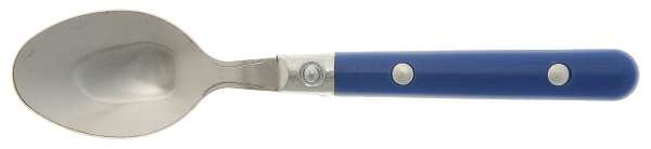 Casual Living-Blue Teaspoon