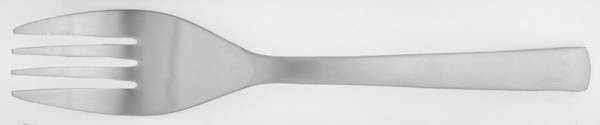 Park-Carry On (Matte, Stainless) Large Solid Cold Meat Serving Fork