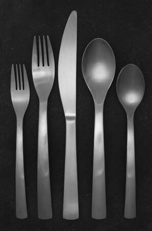 Park-Carry On (Matte, Stainless) 5 Piece Place Setting