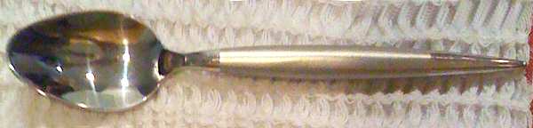 GIA32 (Stainless) Teaspoon