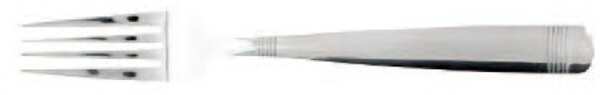 Preveza (Stainless) Fork