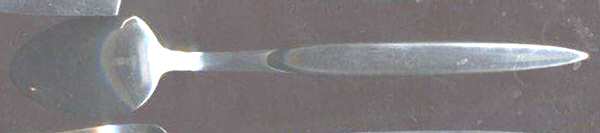 GON14 (Stainless) Teaspoon